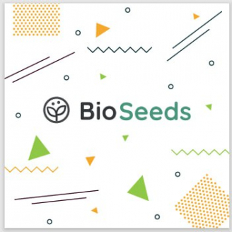 Семена конопли сорта Магнитик BioSeeds